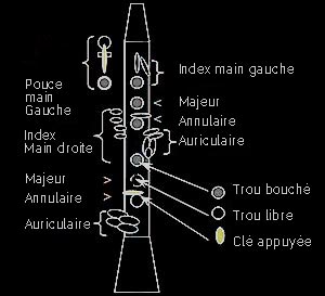 célébrations de la clarinette Doigte