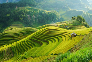 Arrivée sur Kathmandou 
